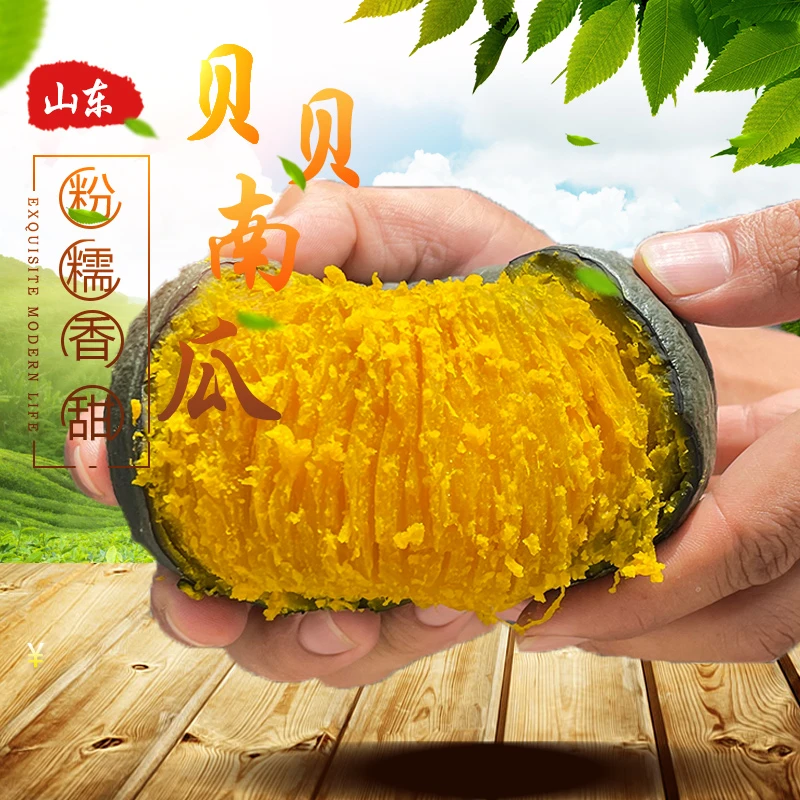 正宗1号贝贝南瓜新鲜蔬菜粉糯香甜板栗味粗粮代餐宝宝辅食小南瓜