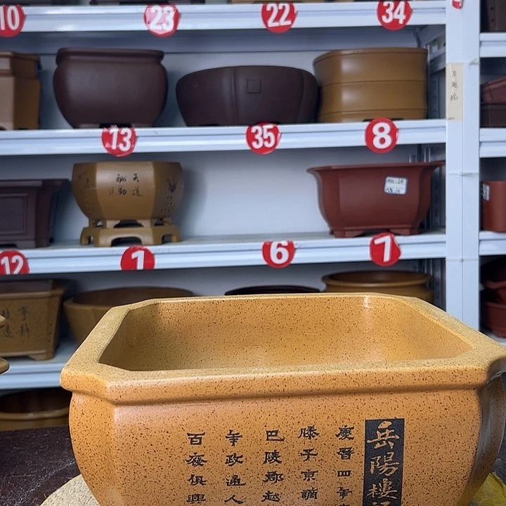 花盆紫砂我也好想