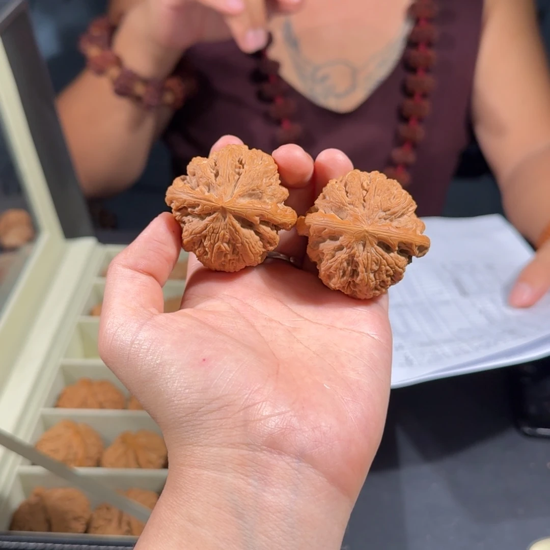 文玩核桃把件240号45mm平谷大粗筋