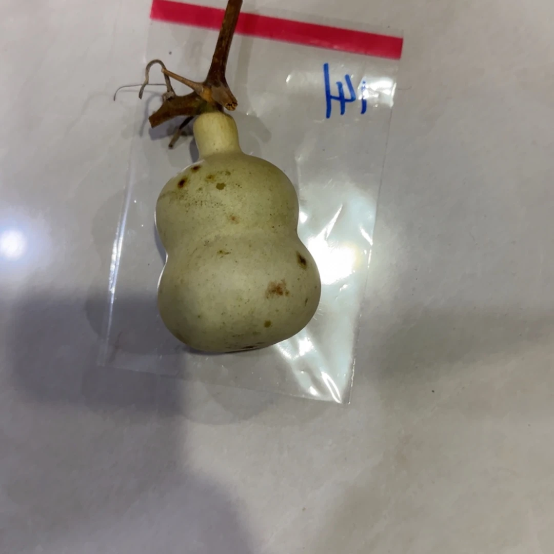 艾***心青皮不包成，，，，，，，，，，，，