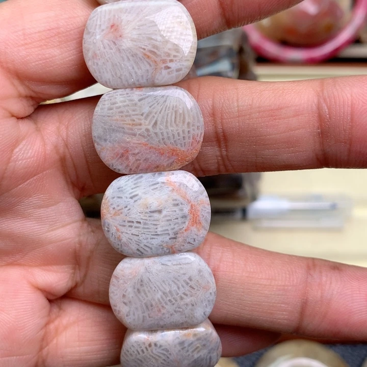 硅化珊瑚（珊瑚玉）未镶嵌颈饰