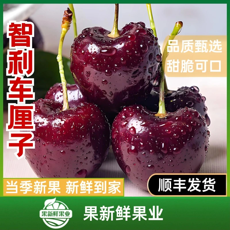 【智利车厘子】海运 拉宾斯 2J 5斤 顺丰包邮送货上门