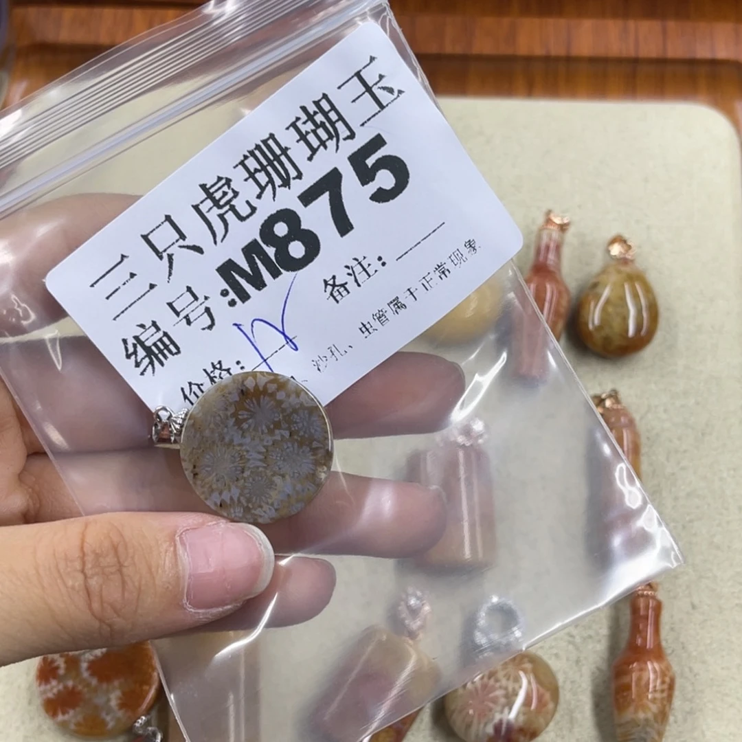 凋***硅化珊瑚（珊瑚玉）h未镶嵌