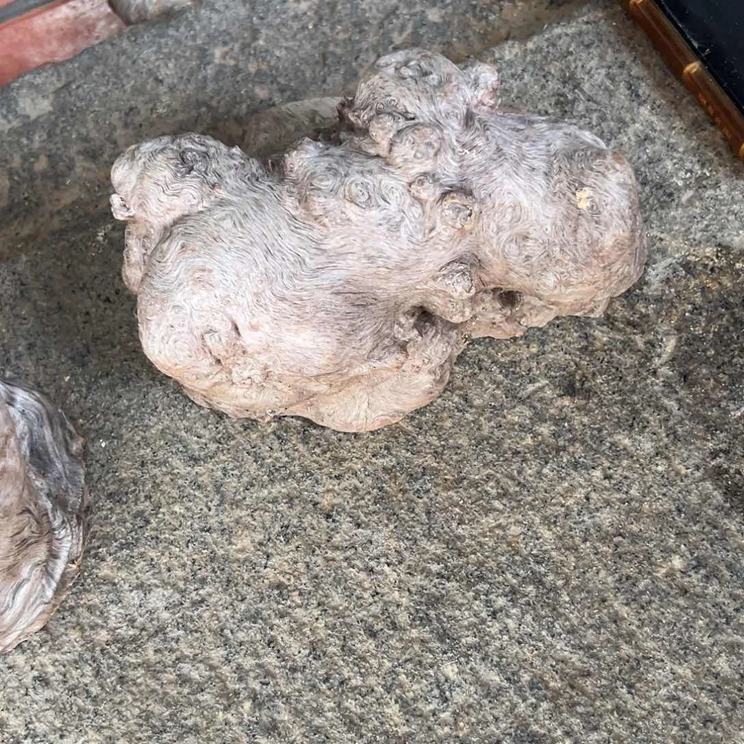 荔枝木最****气荔枝木毛料