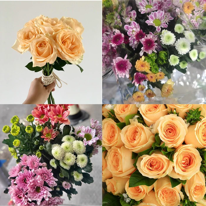 【千寒爆款组合】香槟玫瑰+混色小雏菊 次日达顺丰包邮