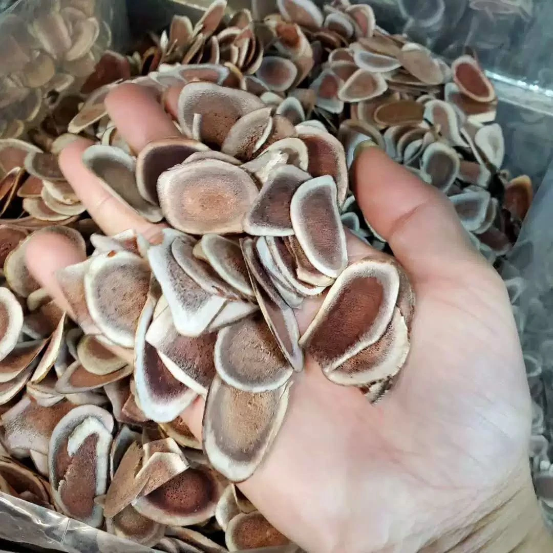 秦巴本草】村书记助农 秦岭滋补中药材  鹿茸片 粉片20g