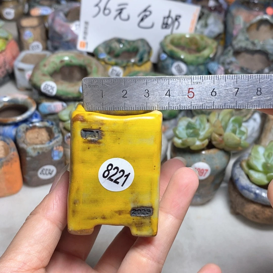 拍3送一个小礼物