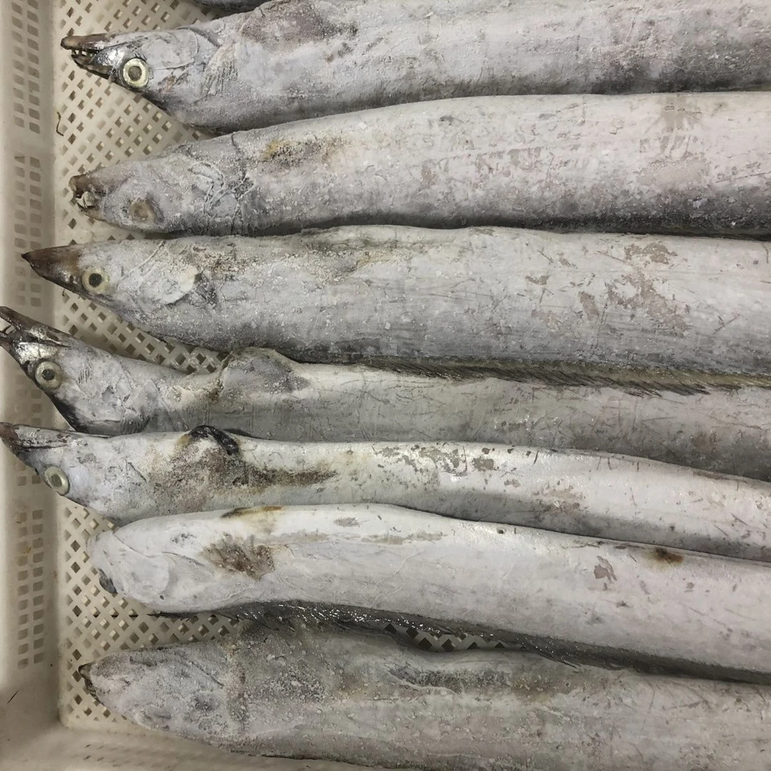 M破肚子带鱼刀鱼海鱼海鲜5斤11条内冷冻深海小眼油带鱼可清蒸油炸