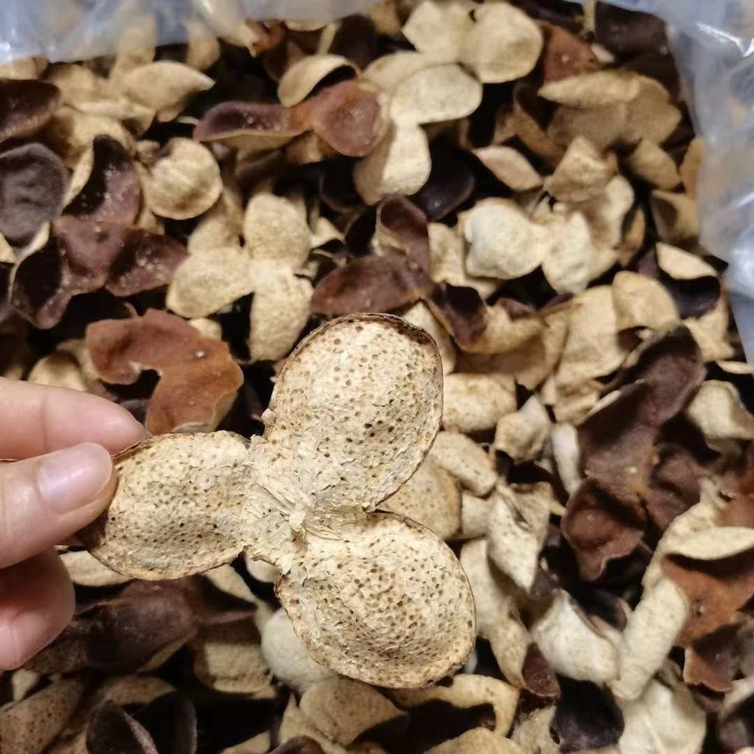 【阿权专享】天17陈化 大红皮 整皮   罐装