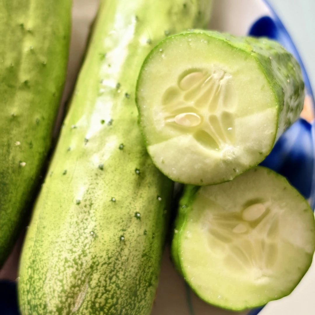 迷你黄瓜宜昌农家自种有刺现摘现发微甜脆甜清香蔬菜沙拉拌菜水果