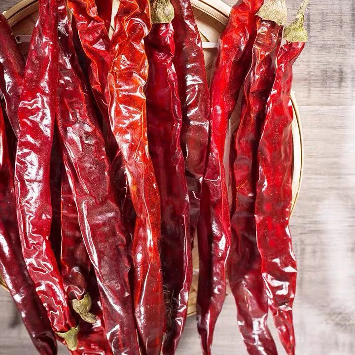 【干辣椒】湖南湘西农家自种赶集直播蔬菜水果山货土货干货新鲜辣椒