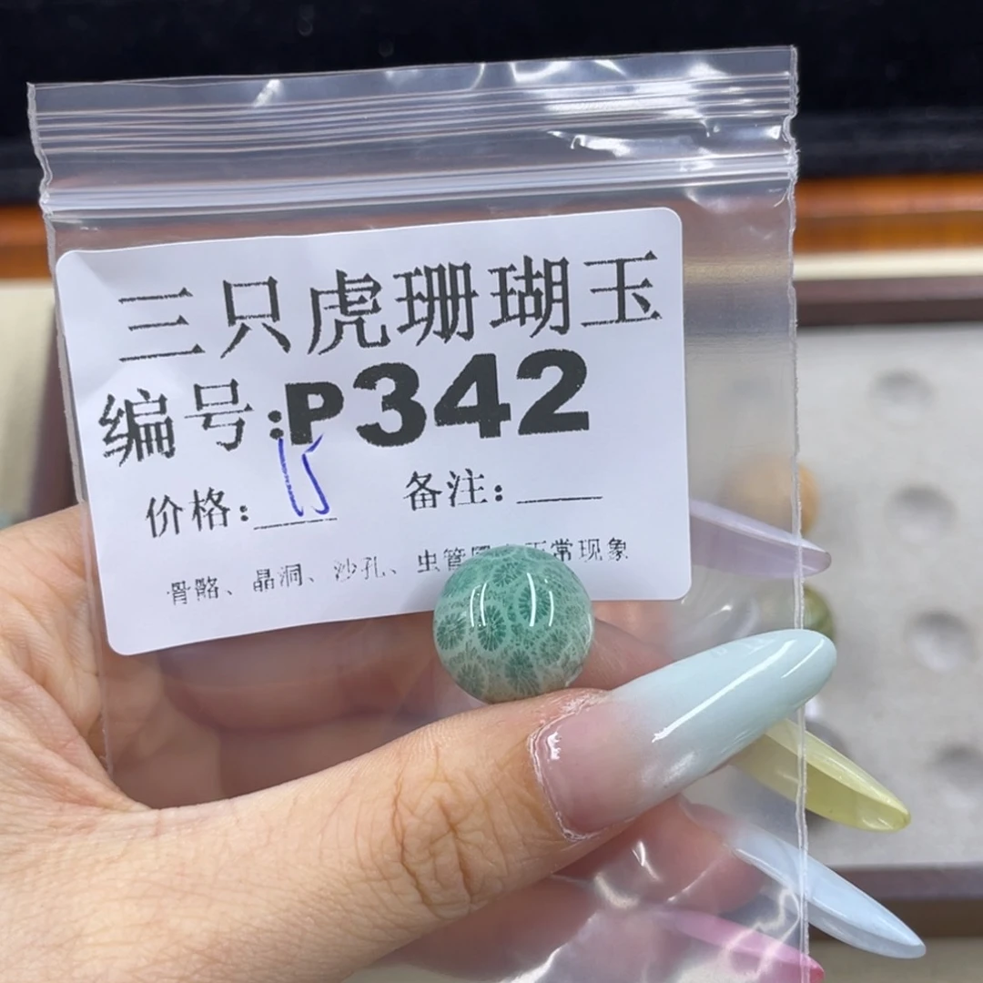 ****e硅化珊瑚（珊瑚玉）h未镶嵌