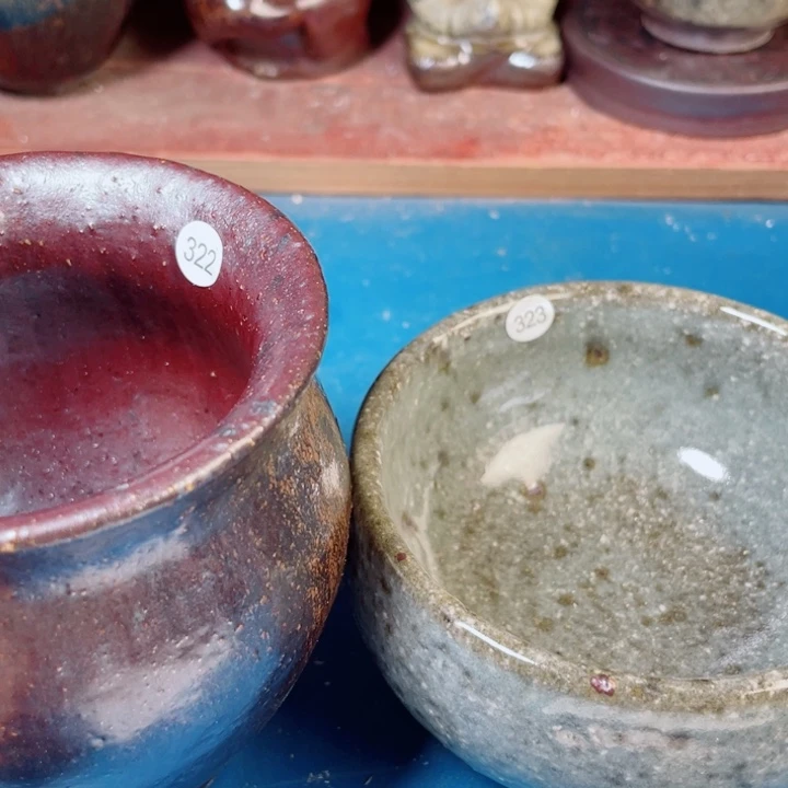 茶宠盏盏都是我的爱啊