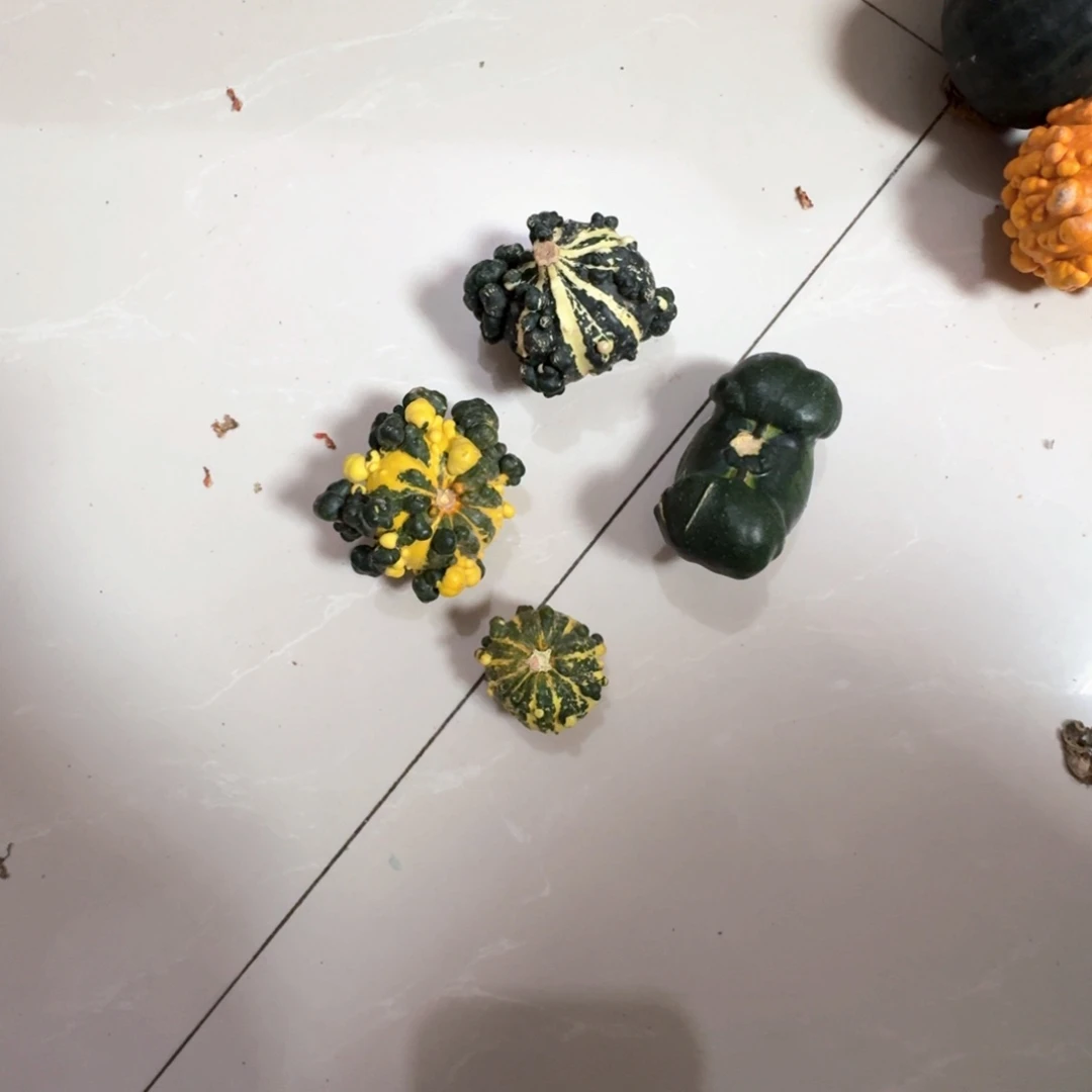 ꧁****꧂青皮葫芦吉祥如意