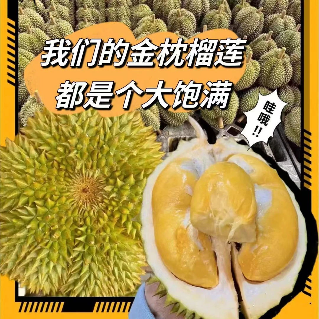 【榴莲纯肉】新鲜采摘泰国金枕榴莲纯榴莲肉到手核小0.5-3斤榴莲同城配金枕泰国