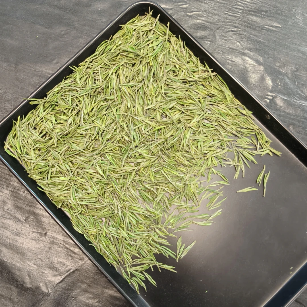 【兰花香小芽头】2025新茶安吉白茶高山原产地枫璟白茶