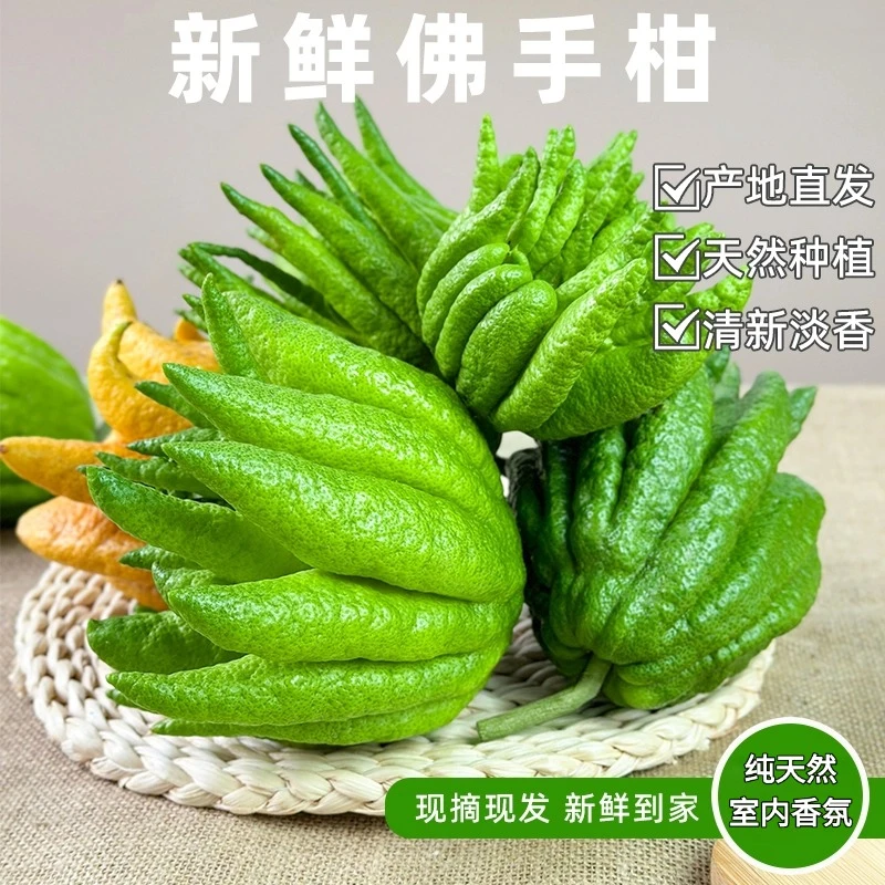 新鲜现摘佛手柑带枝可水养水培食用清供观赏佛手果