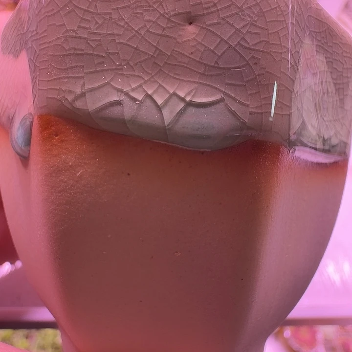 盆38，八角冰裂素陶双拼色，多肉盆闲置处理福利出！