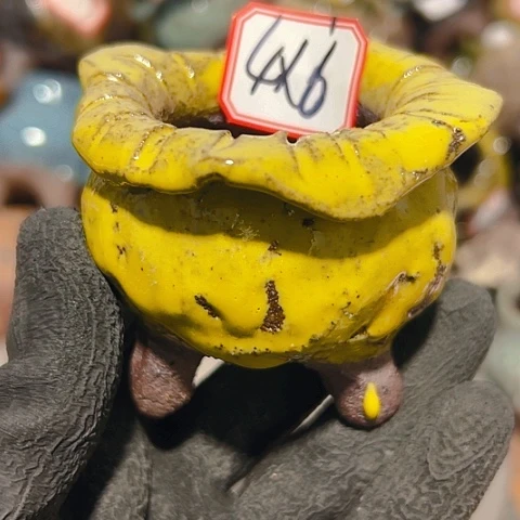 粗陶花盆制作就这样了