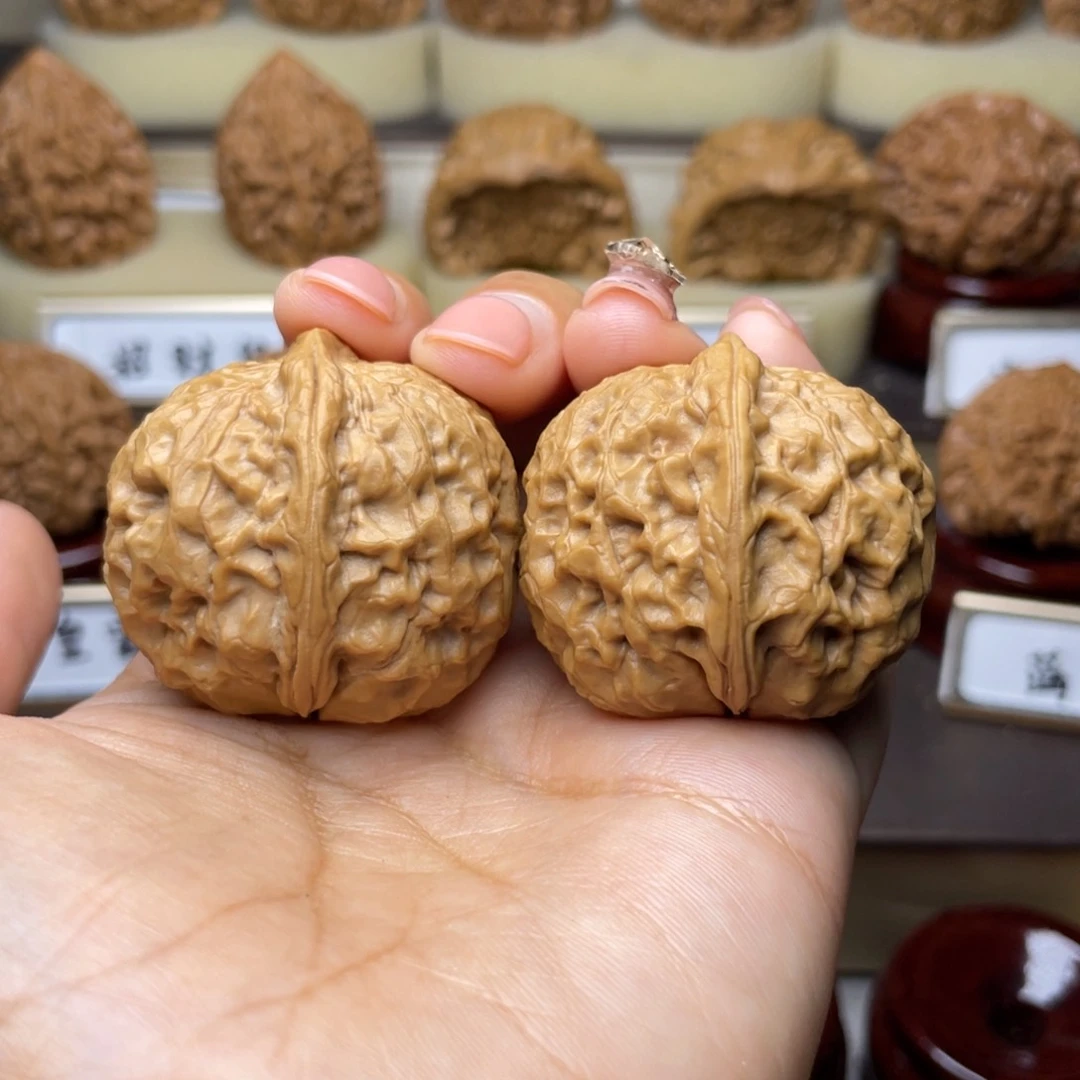 文玩核桃把件卧龙元宝37左右