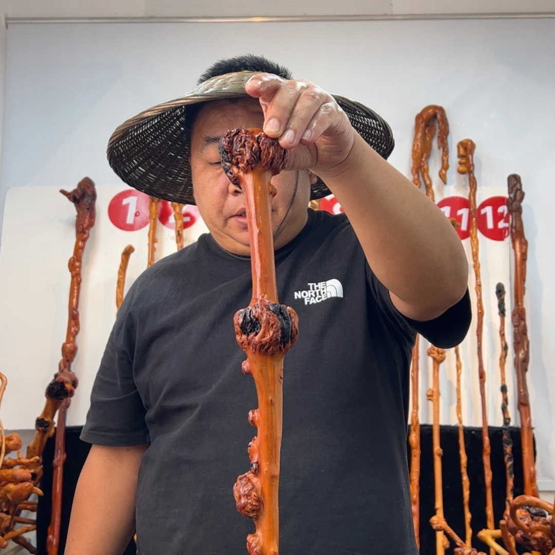 黑果木其他黑果木570