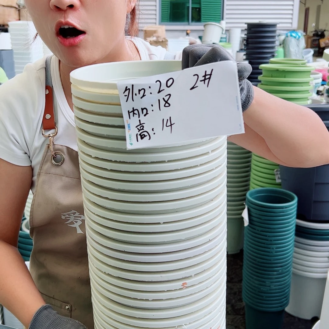 瑕疵矮胖2#米白色10个无托