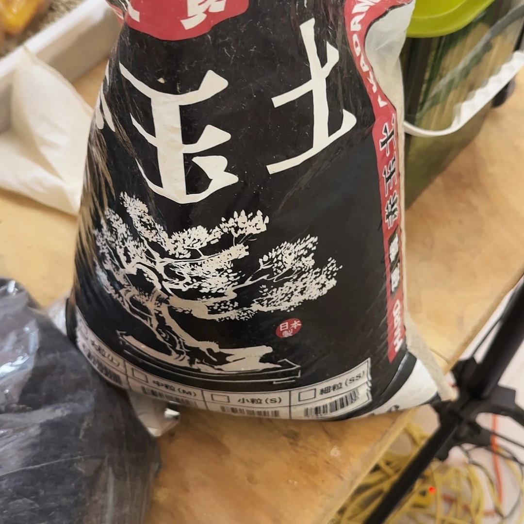 黑大袋3–6受潮处理，青海新疆西藏勿拍