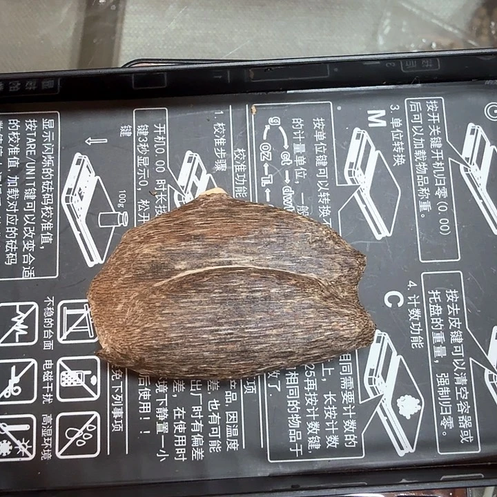 沉香摆件海南瓜子