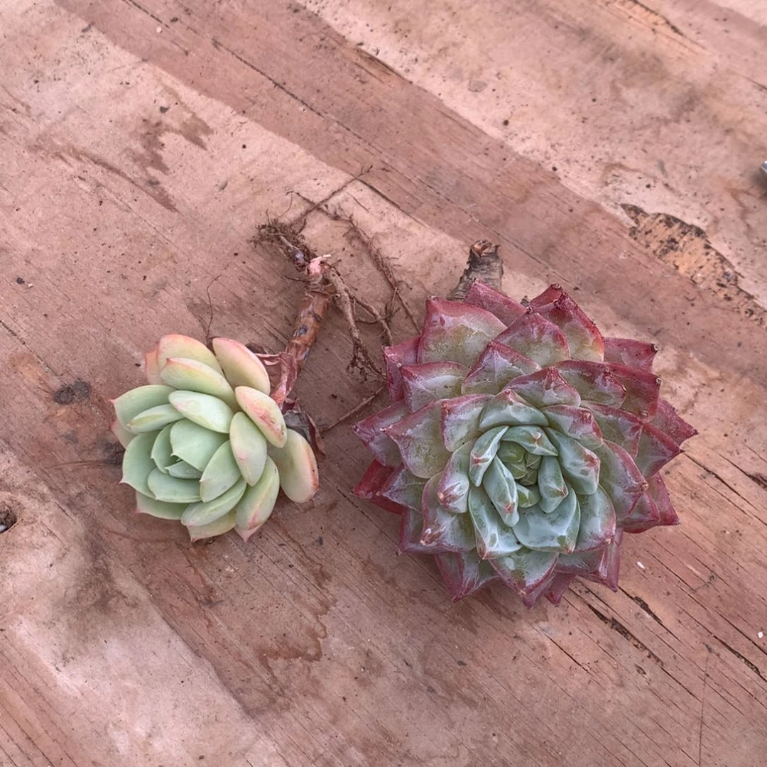 你的手机怎么关机