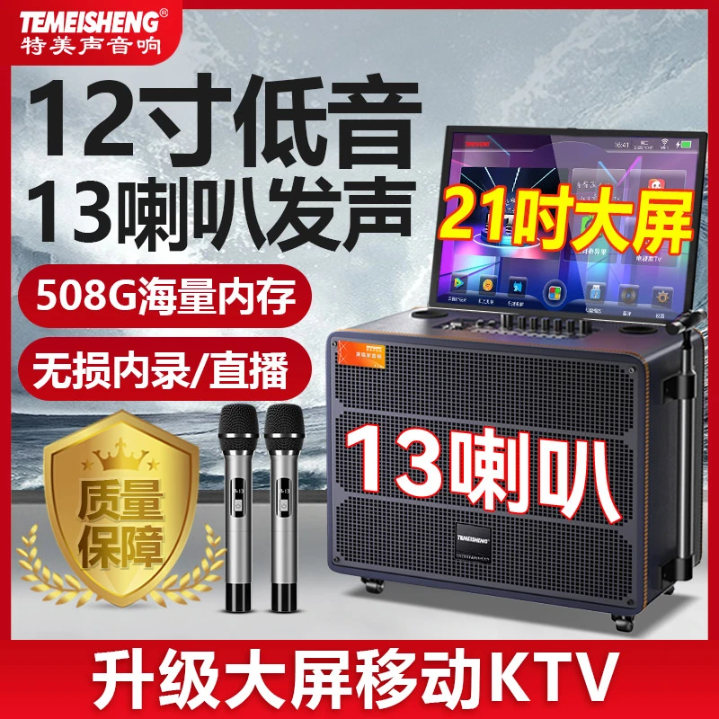 Temeisheng特美声TA08户外唱歌音响带显示屏OTG无损声卡直播k歌