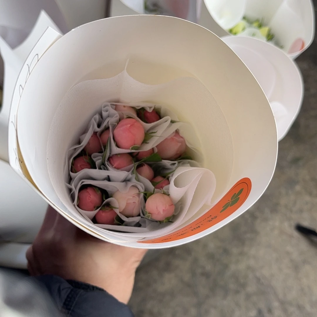 全部花苞慕源（赫敏）单头15枝