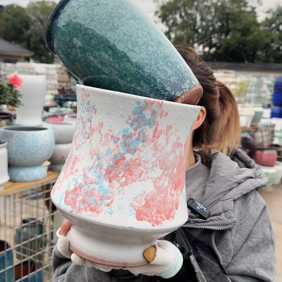 王嫂花盆直播1117-320