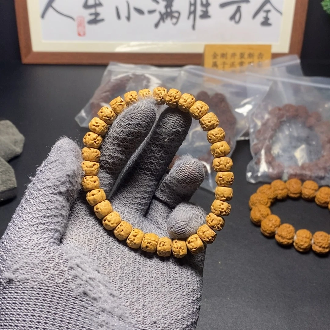 菩提金刚菩提2号.