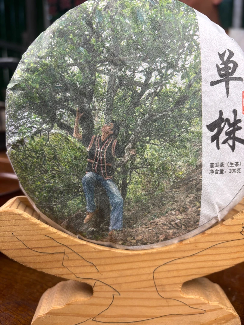 2024年古树单株高香高甜普洱茶200g