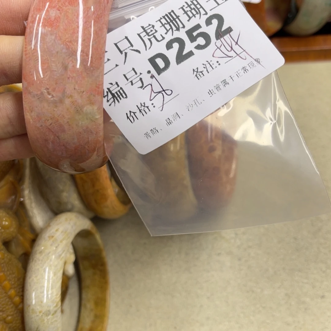 无***念硅化珊瑚（珊瑚玉）未镶嵌h