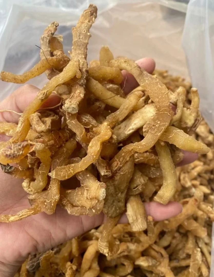 玉竹条自然生晒配红枣枸杞煲汤煮水