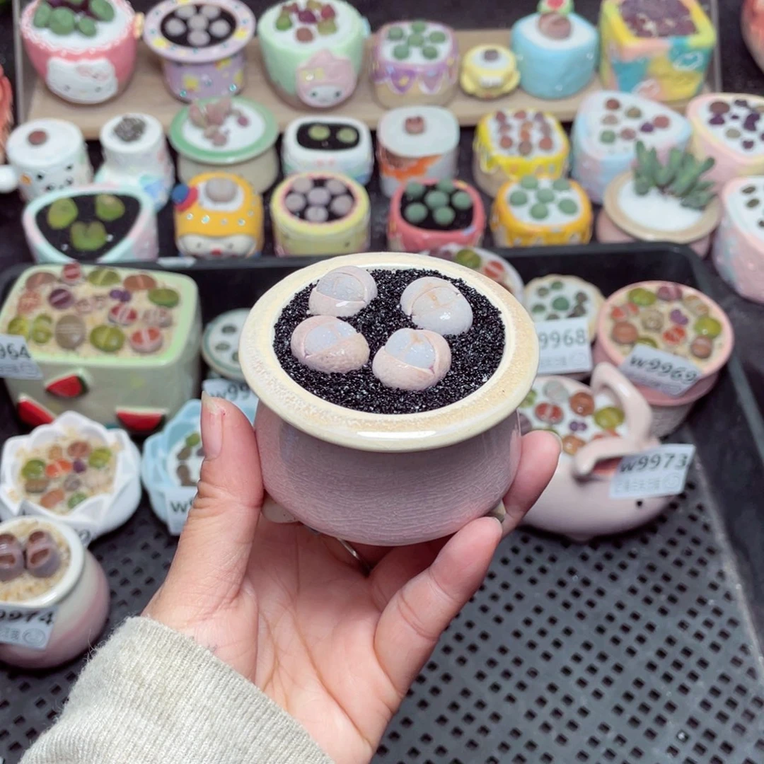 w9975 -零下地区拍保温箱-15支持寄养