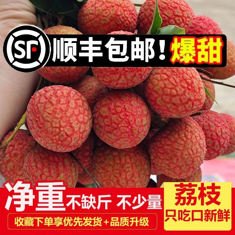 【甜荔枝】新鲜现摘当季荔枝皮薄肉厚清甜多汁多仓发货