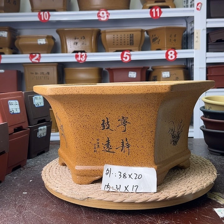 紫砂花盆蛇年大吉