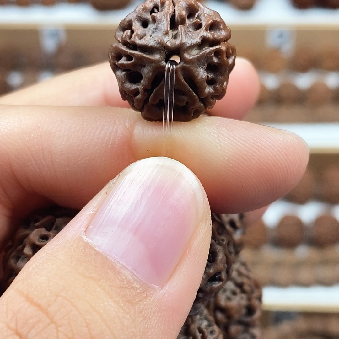 手串金刚菩提精品梅花蜂窝双龙