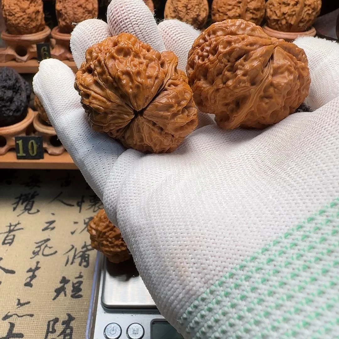 忘****临沧帝王蟾43尺51.1克