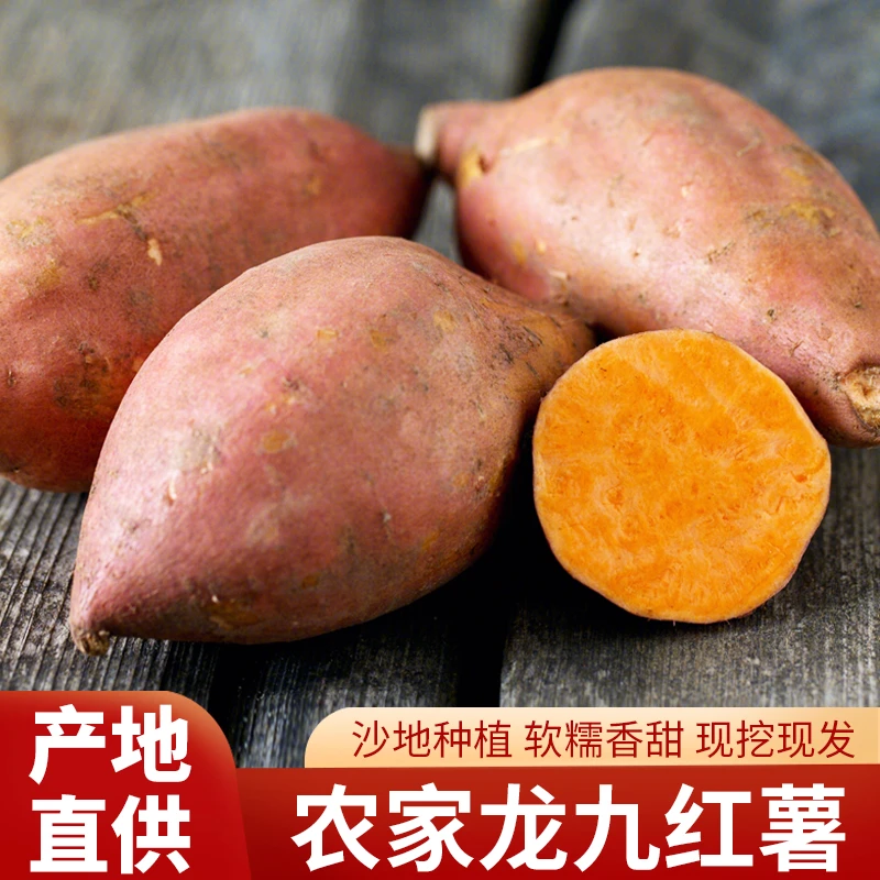 新鲜香甜龙九蜜薯带箱5斤中果红薯胖胖圆圆西瓜红薯软糯香甜