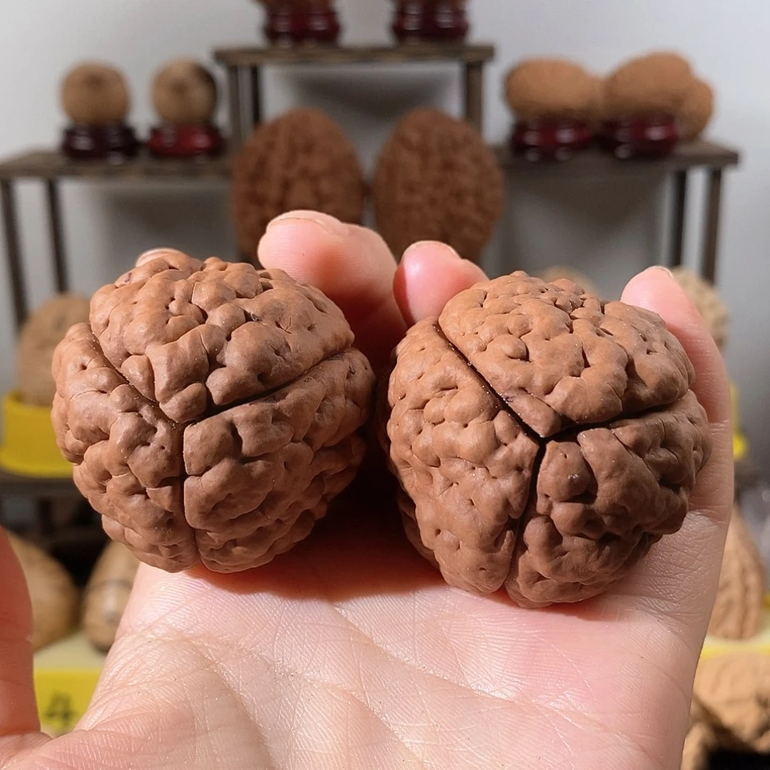 文玩核桃把件三瓣脑纹金刚4454