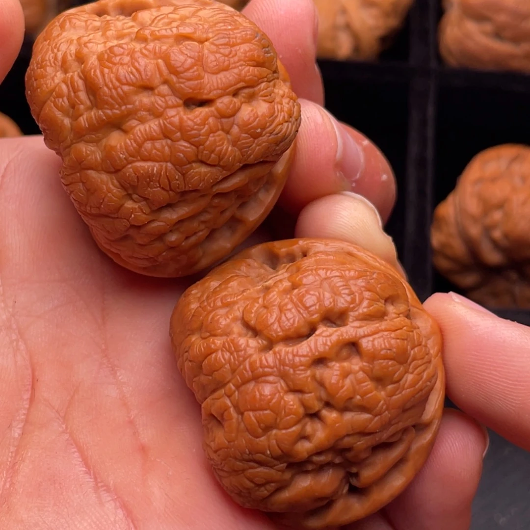 文玩核桃把件秦岭野生核桃