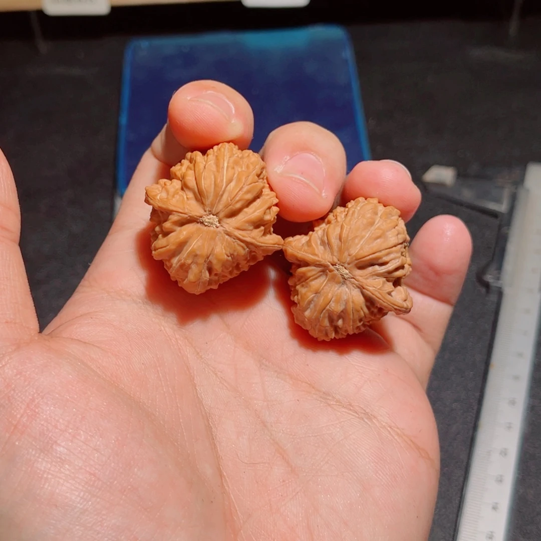 一***气31全品山地石子儿磨