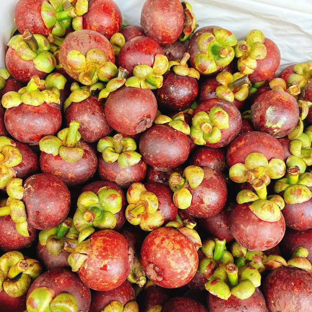 山竹4A (500g一斤）--无shou后