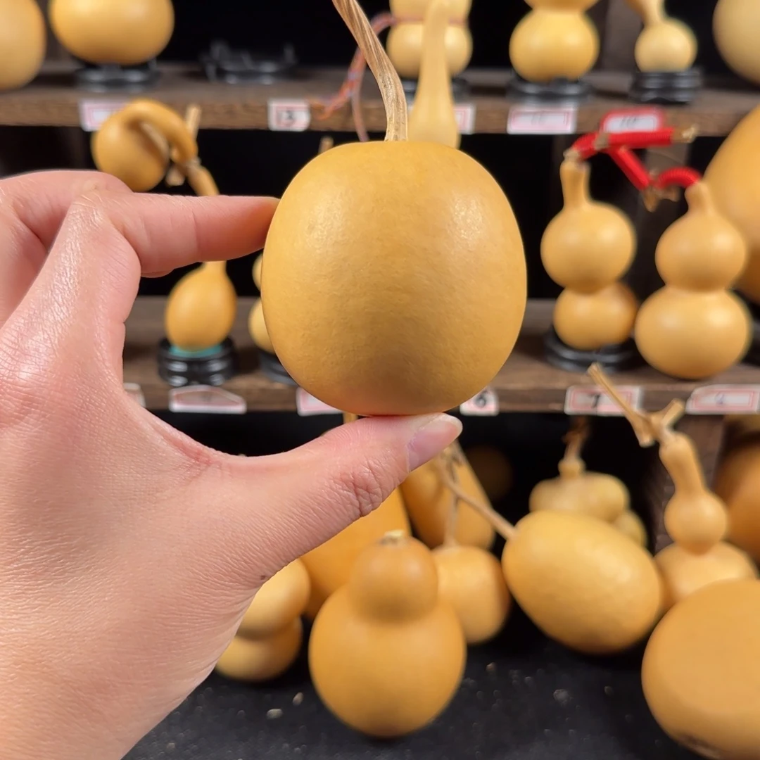 康***粒葫芦葫芦葫芦葫芦葫芦