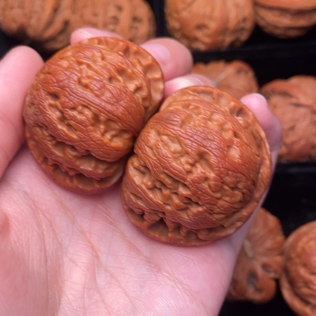 秦岭野生文玩核桃