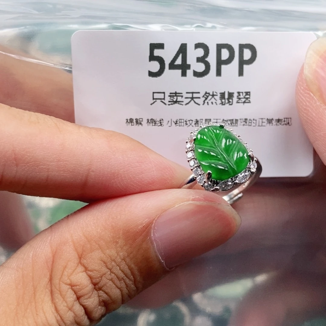 【闪购商品】颈饰未镶嵌翡翠