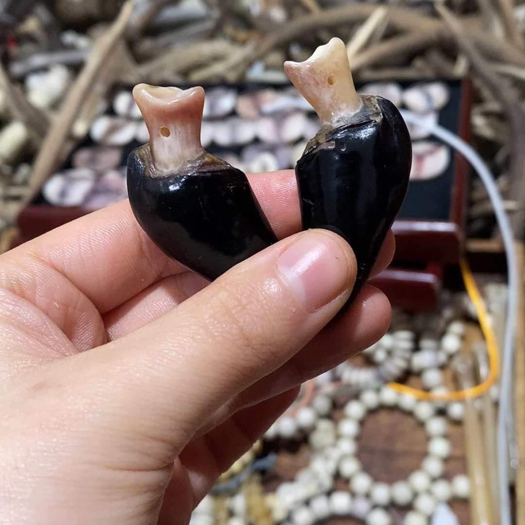 非金属鹿蹄鹿蹄鹿蹄